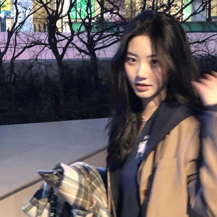 合子异种 在线观看封面